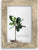 Lawrence Wood Picture Frame - 4X6, 5X7, 8X10 - Multiple Colors