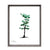 Tyrell Collection Wood Picture Frames - 4X6, 5X7, 8X10 Multiple Color Available