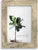 4 X 6 Gray & White Picture Frame Lawrence