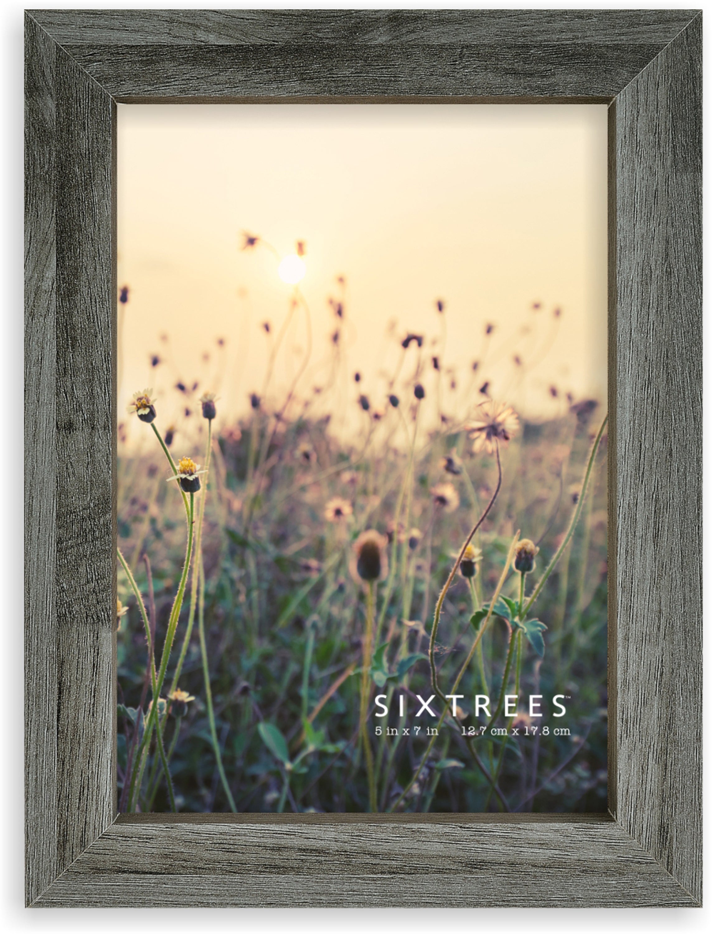 Provo Rustic Frame - 4X6, 5X7, 8X10 Picture Frame – Sixtrees