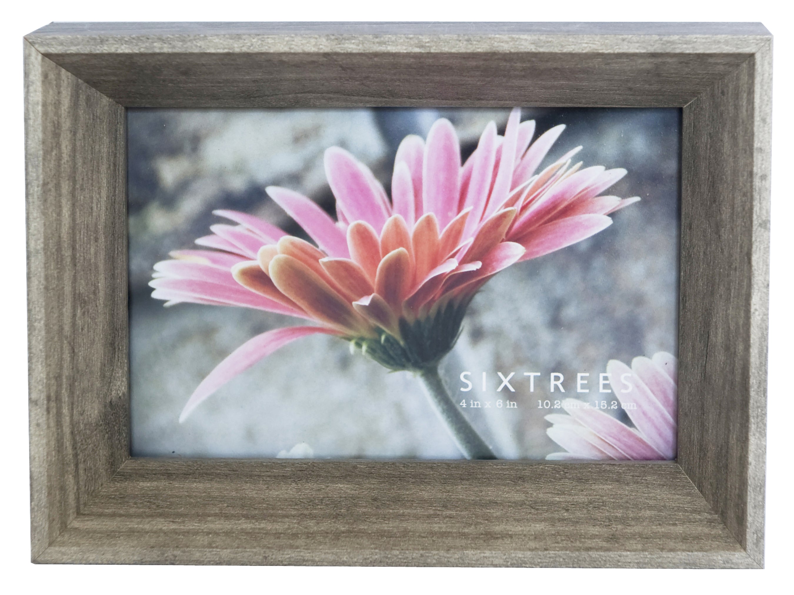 Shelby Collection Dual Colored Wood Picture Frames - 4X4, 4X6, 5X7, 8X –  Sixtrees