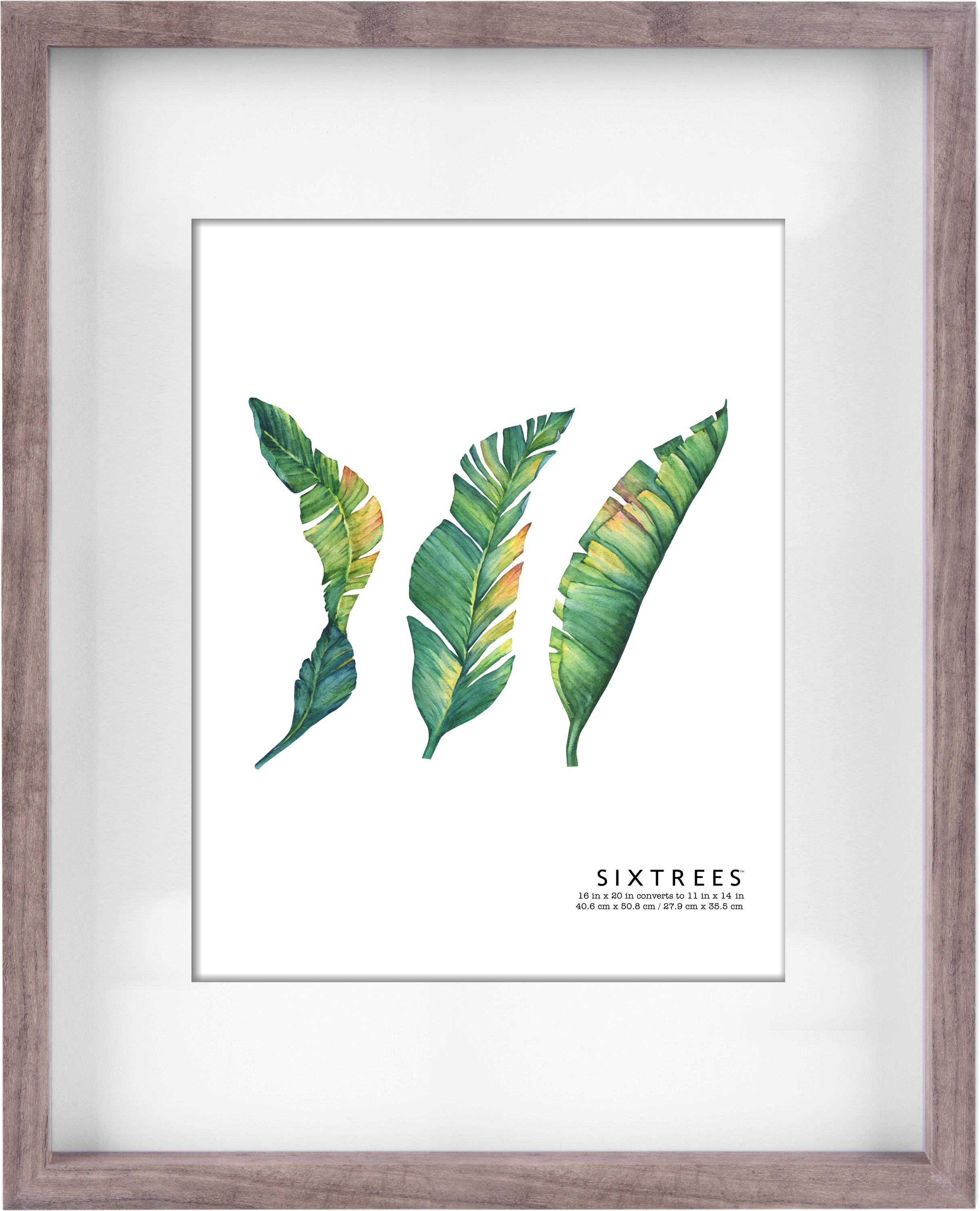 Shelby Matted Dual Colored Collection - 11X14, 16X20 – Sixtrees