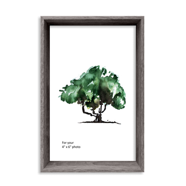 Tyrell Collection Wood Picture Frames - 4X6, 5X7, 8X10 Multiple Color Available