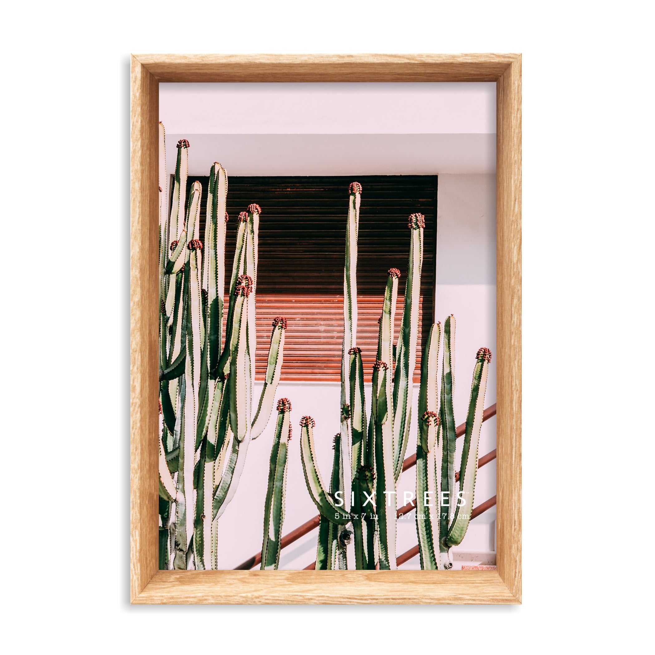 Stark Collection Deep Wood Picture Frames - Multiple Sizes and Colors –  Sixtrees