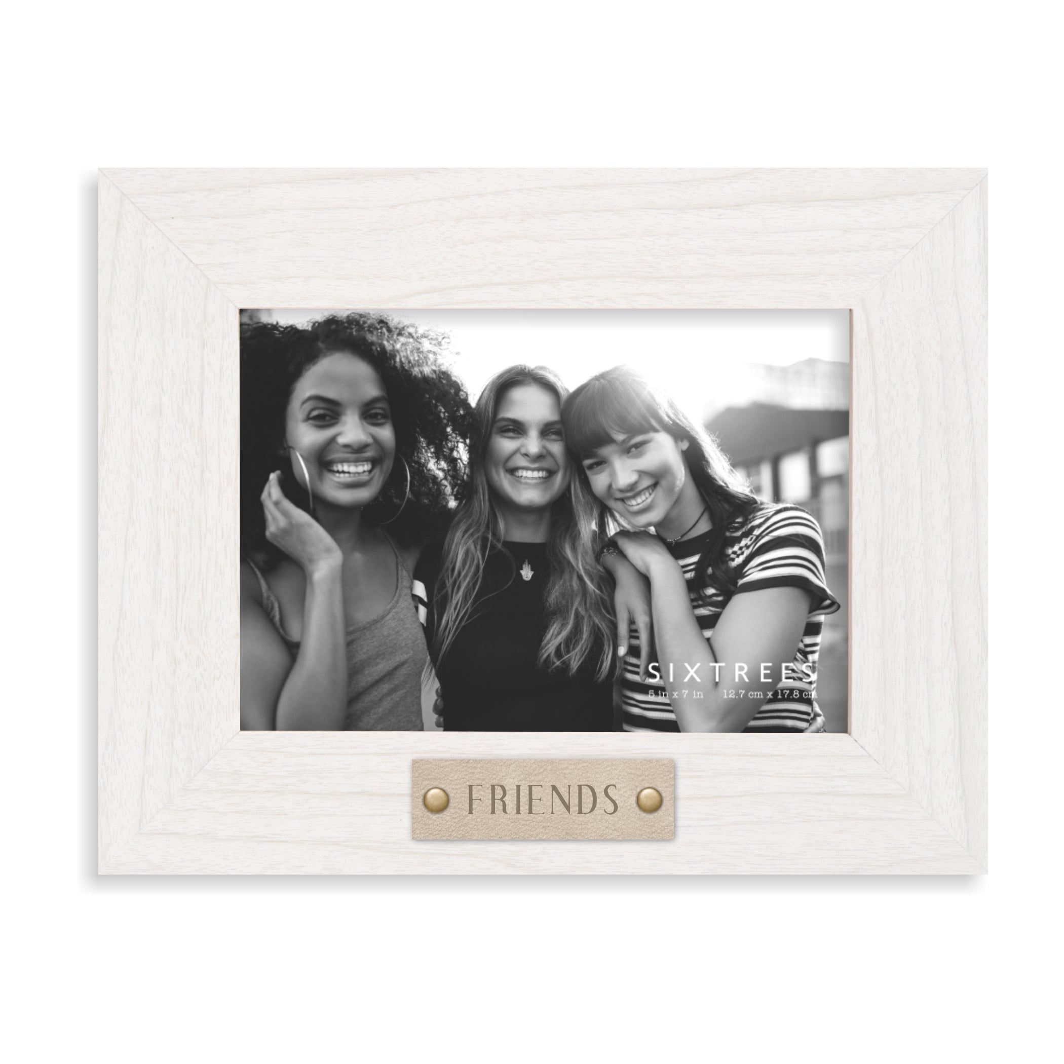 Picture Frame Friends, Frames Photos Friends