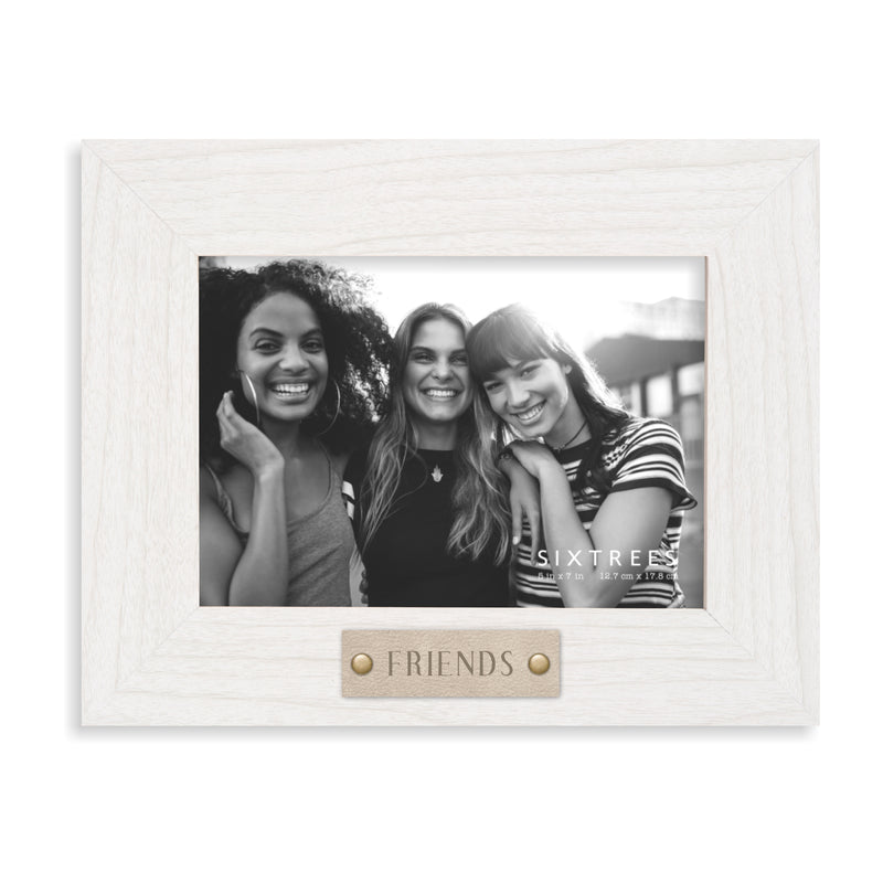 Sentiment Frames - Friends, Best Friend, Sister, Love